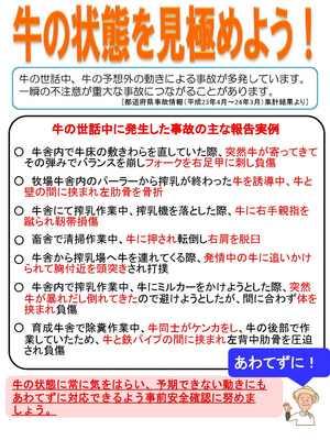 牛の世話中に発生した事故の主な報告実例について記載されているチラシ 詳細は以下
