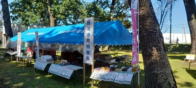 第45回柏林公園まつりにおける銀河連邦物産展の出展風景の写真