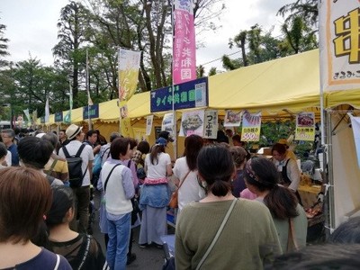 タイキ共和国のブース前に立ち並ぶ、大勢の人々による行列の写真