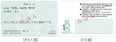 通知カードの表面と裏面の見本 詳細は以下