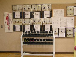 使用方法の説明が貼られた黒板の下に設置された、さまざまな重さのダンベルが収納されているラックの写真