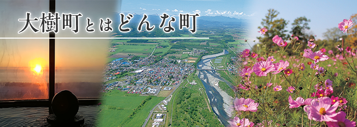 大樹町とはどんな町