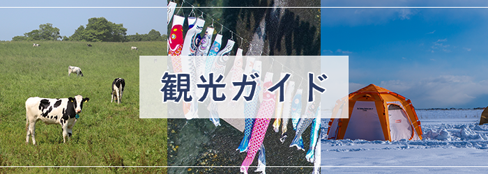 観光ガイド