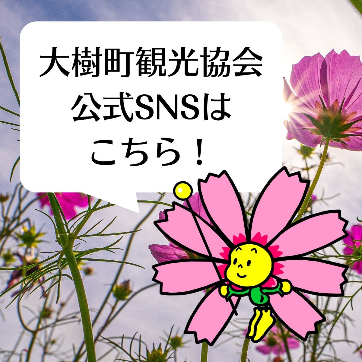 観光協会のSNS紹介バナー