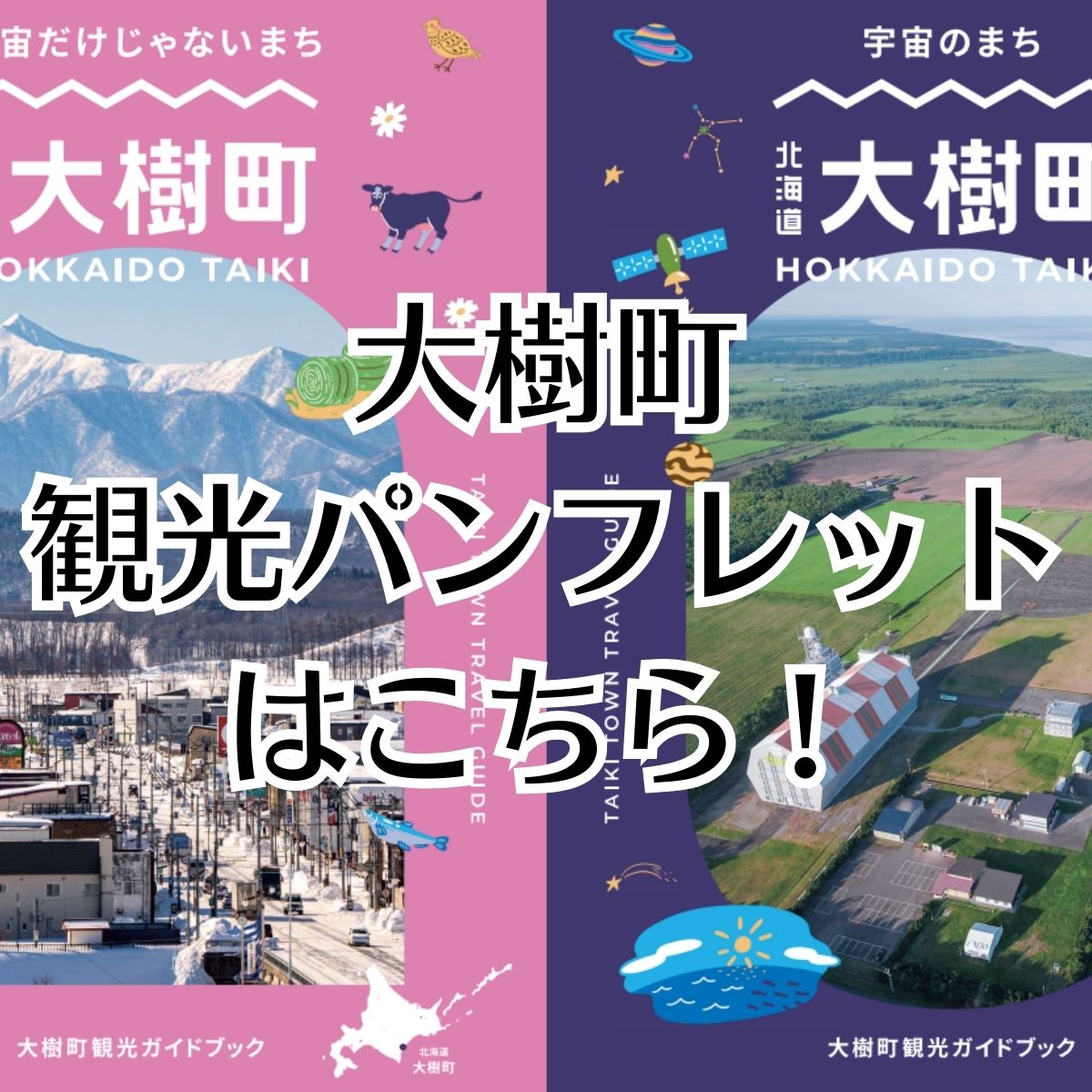 観光パンフレット