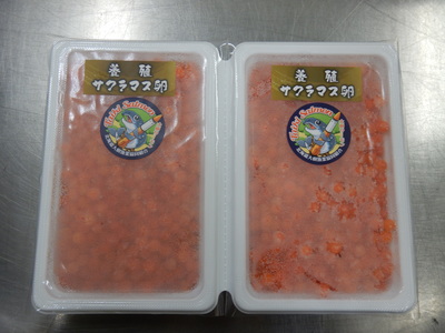 パックに入れて2つ並べられているサクラマス卵のいくら醤油漬けの試作品の写真