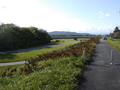 歴舟川河川緑地を見渡した写真