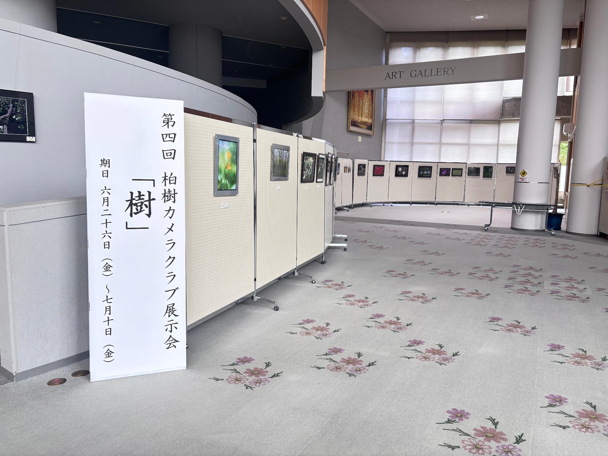 柏樹カメラクラブ1