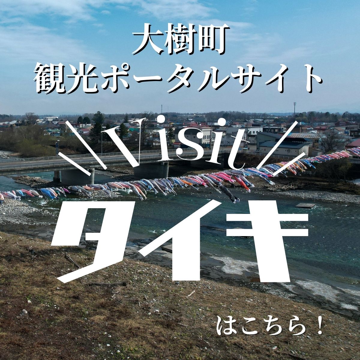 Visitタイキのバナー
