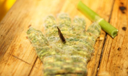 手袋の上に乗っている茶色い植物の写真